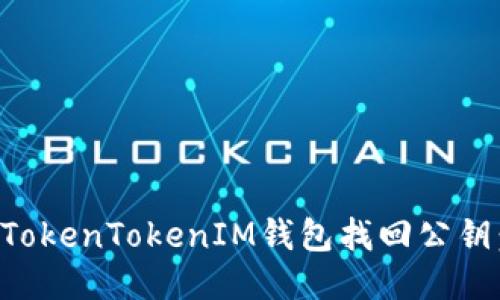 如何通过TokenTokenIM钱包找回公钥：全面指南