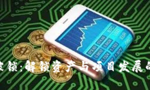 Tokenim被锁：解锁资产与项目发展的深度分析