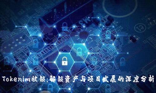 Tokenim被锁：解锁资产与项目发展的深度分析