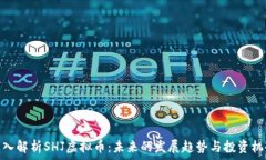  深入解析SHJ虚拟币：未来