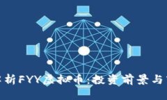 : 全面解析FYY虚拟币：投资