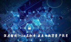 深度解析Tribe虚拟币：未来