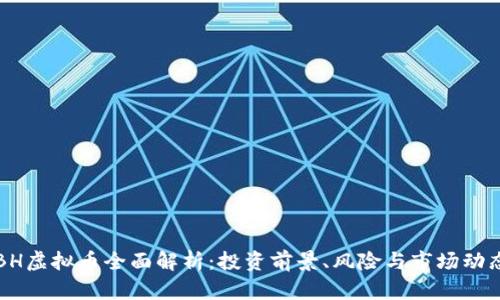 BH虚拟币全面解析：投资前景、风险与市场动态