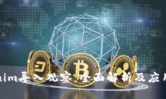 Tokenim导入观察：全面解析