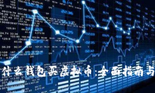 通过什么钱包买虚拟币：全面指南与推荐