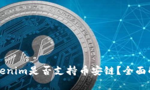 ### Tokenim是否支持币安链？全面解析与探讨