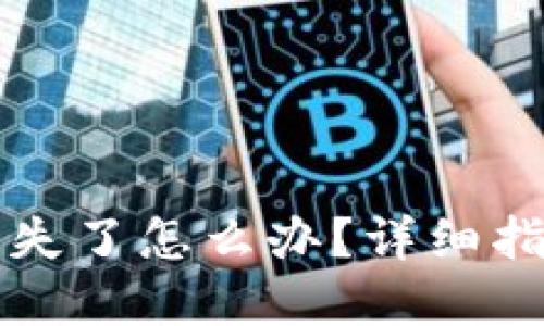 虚拟币钱包丢失了怎么办？详细指南及解决方案