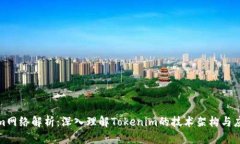 Tokenim网络解析：深入理解