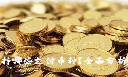 Tokenim支持哪些支付币种？全面分析与用户指南
