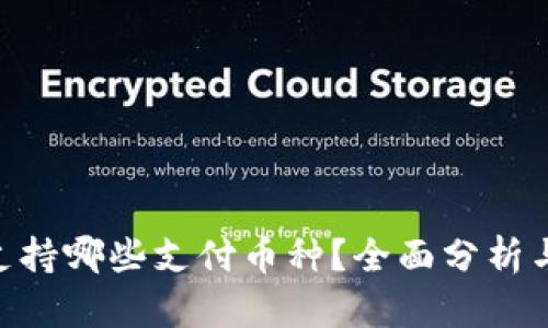 Tokenim支持哪些支付币种？全面分析与用户指南