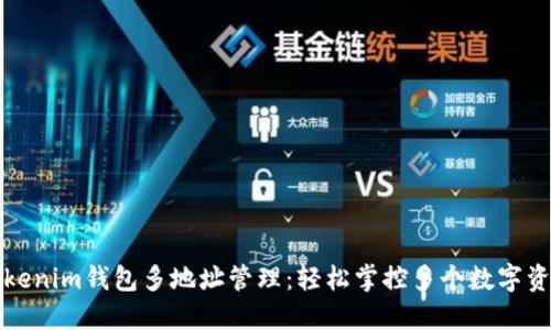 Tokenim钱包多地址管理：轻松掌控多个数字资产
