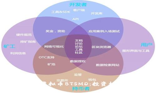 全面解析虚拟币BTSMD：投资机会与风险
