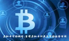 虚拟币市场概述：当前虚