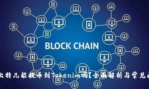 ### 比特儿能提币到Tokenim吗？全面解析与常见问题解答