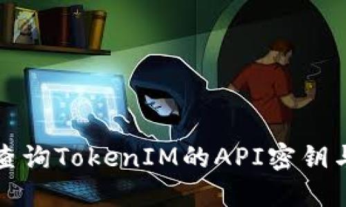 如何高效查询TokenIM的API密钥与使用指南