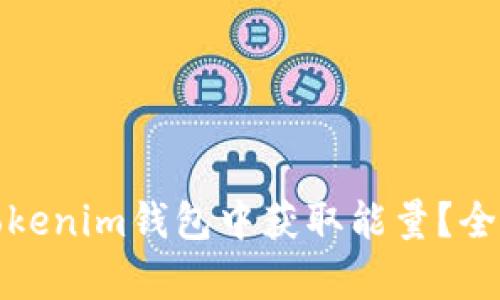 : 如何在Tokenim钱包中获取能量？全面指南解析