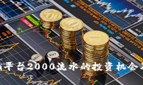 : Tokenim平台2000流水的投资机会及风险分析
