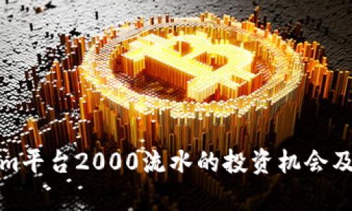 : Tokenim平台2000流水的投资机会及风险分析