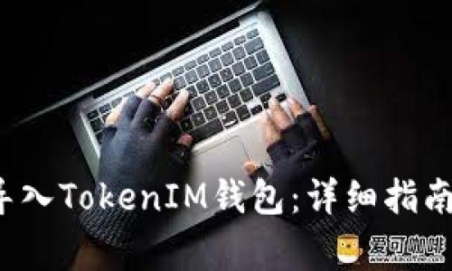  如何安全导入TokenIM钱包：详细指南与注意事项
