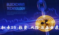 虚拟币SB：投资、风险与未来展望