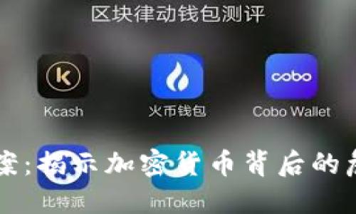 虚拟币惨案：揭示加密货币背后的危机与教训