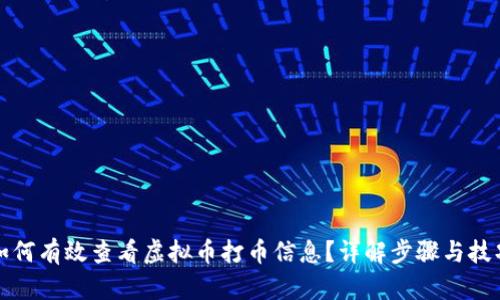 如何有效查看虚拟币打币信息？详解步骤与技巧
