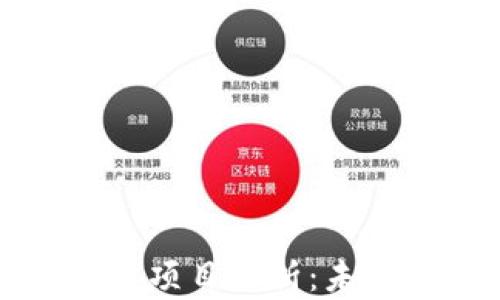 
虚拟数字人民币项目解析：未来支付的新趋势