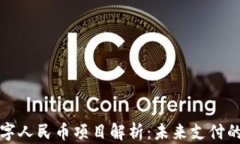 虚拟数字人民币项目解析：未来支付的新趋势