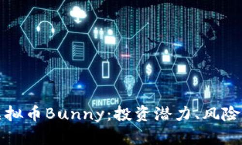 全面解析虚拟币Bunny：投资潜力、风险与市场前景
