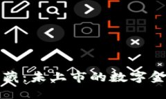 “虚拟币的宝藏：未上市的数字金矿探索之旅”