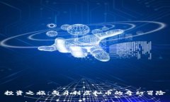 投资之旅：匈牙利虚拟币的奇幻冒险