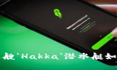 “在区块链海洋中，这艘‘Hakka’潜水艇如何引领