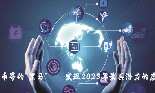 虚拟币界的“黑马”——发现2023年最具潜力的虚拟币