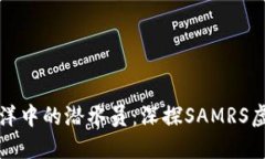 如同金融海洋中的潜水员：深探SAMRS虚拟币的世界