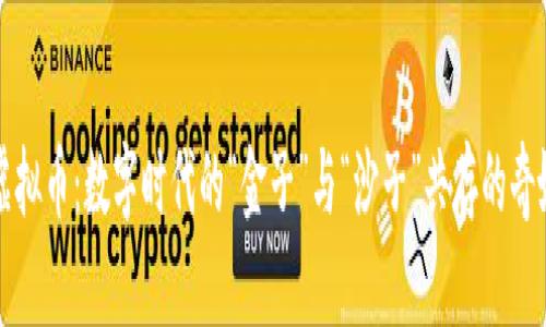 息壤虚拟币：数字时代的“金子”与“沙子”共存的奇妙旅程