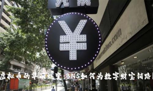 “虚拟币的华丽蜕变：BNS如何为数字财宝铺路？”