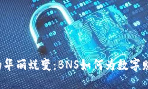 “虚拟币的华丽蜕变：BNS如何为数字财宝铺路？”