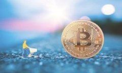 全面解析SCDS虚拟币：投资前景与市场动态虚拟币