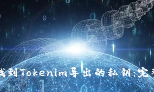 如何找到Tokenim导出的私钥：完整指南